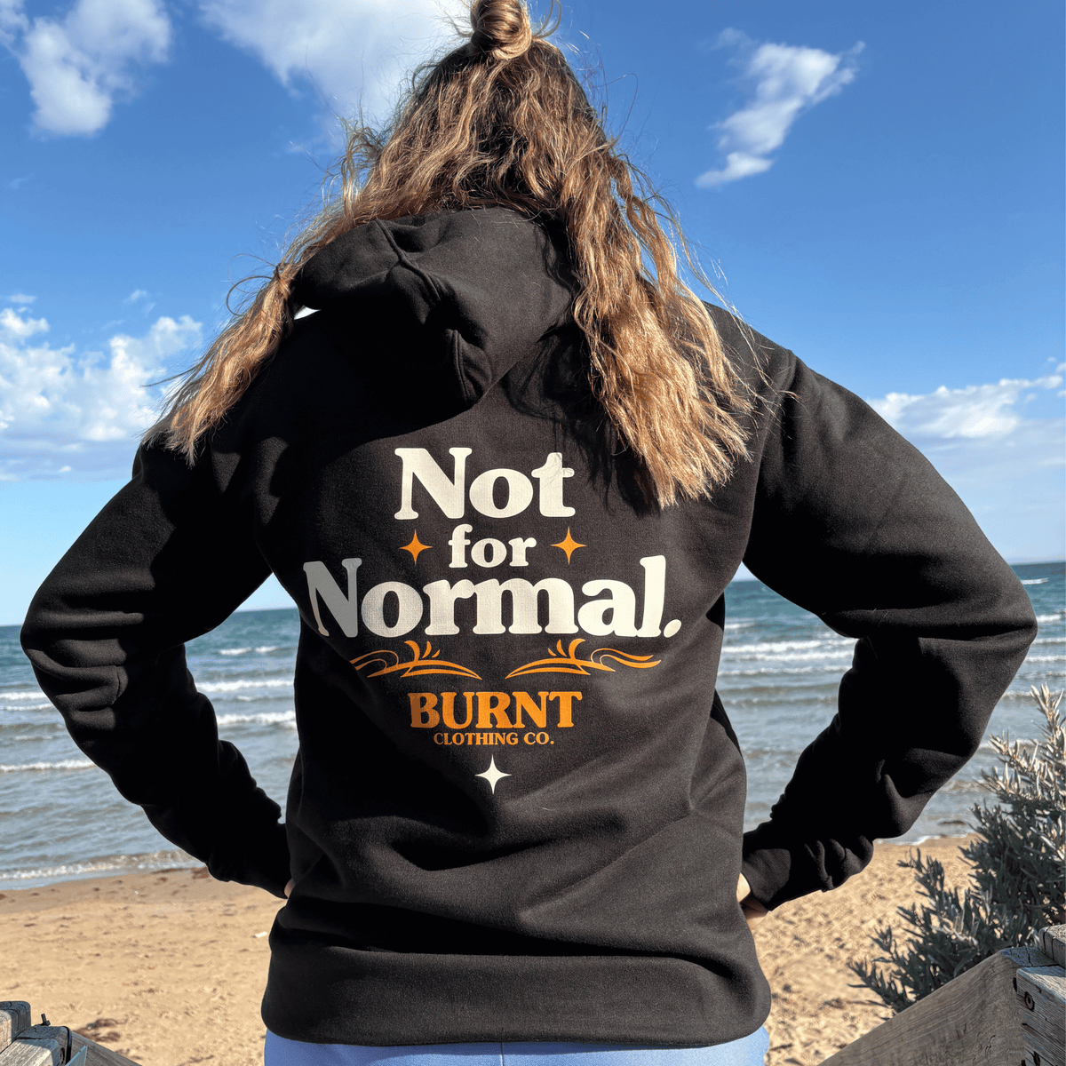 Cream serif NOT FOR NORMAL lettering and burnt-orange pinstripes on the black Old School hoodie.
